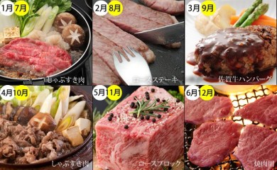 【定期便】 (12ヶ月連続お届け) 佐賀牛（毎月）12回お肉の定期便　25万円コース
