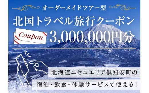 【北海道ツアー】オーダーメイドツアー型旅行クーポン券 （3百万円分） イメージ