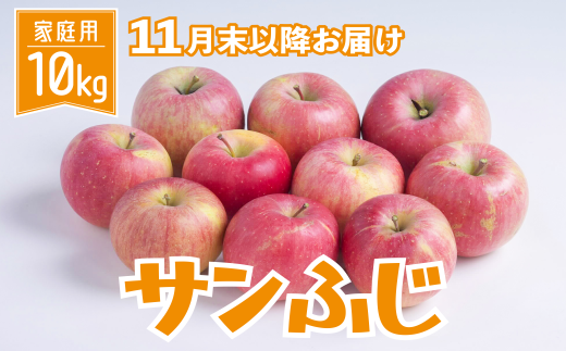 りんご サンふじ 家庭用 10kg