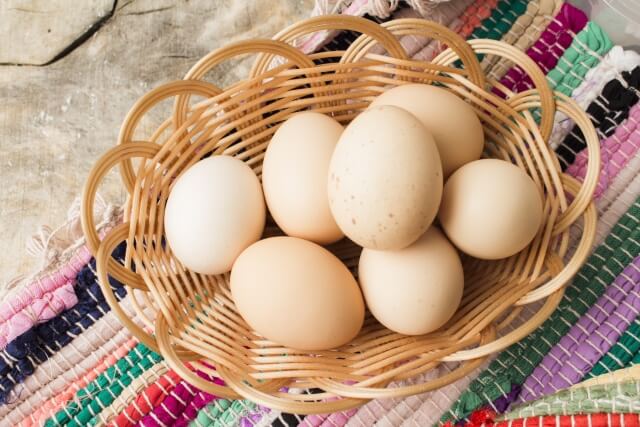 さとふるふるさと納税 糸満市 上原養鶏場のはっこう卵 破卵保障5個 MS~Lサイズ 55個