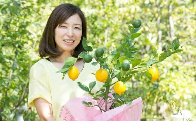ガーデニング果樹・レモンの木 イメージ
