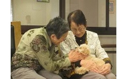 命を守る「災害救助犬」「セラピードッグ」を育てる（徳島県） イメージ