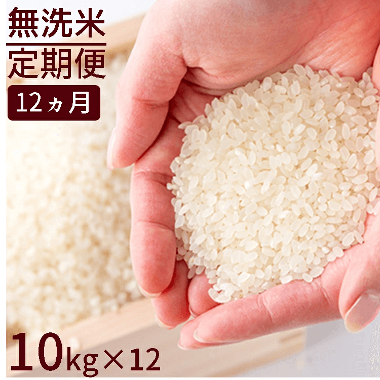 ななつぼし 60kg(5kg×12袋) 北海道 選べる 白米 無洗米 令和5年産 単一