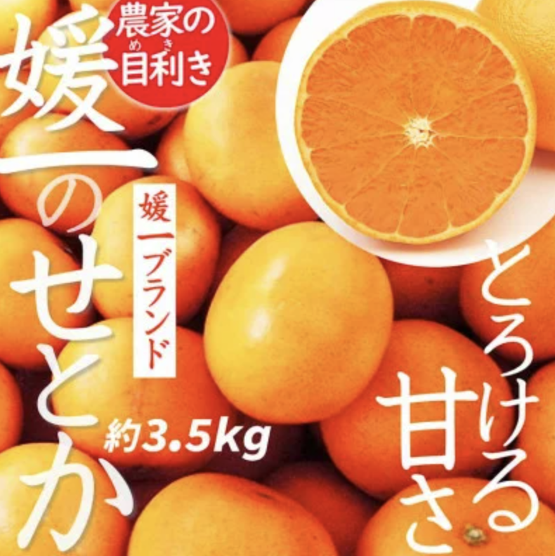 愛媛の高級柑橘の代名詞!「せとか」約3.5kg入 イメージ