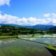 栃木県 小山市のふるさと納税のご紹介